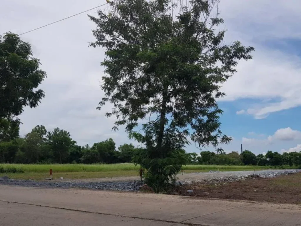 ขายที่ดินในกรุงเทพฯ เขตหนองจอก 100 ตรว ติดถนนราคาถูก