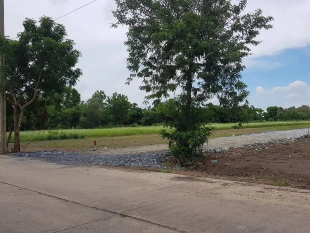 ขายที่ดินในกรุงเทพฯ เขตหนองจอก 100 ตรว ติดถนนราคาถูก