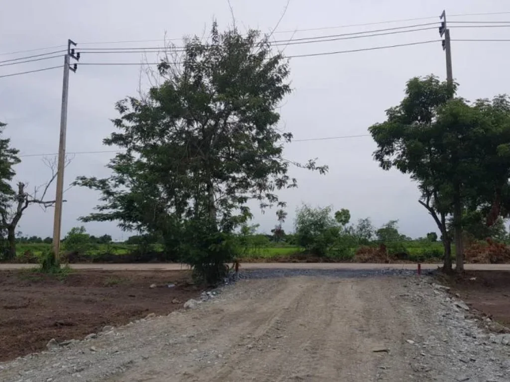 ขายที่ดินในกรุงเทพฯ เขตหนองจอก 100 ตรว ติดถนนราคาถูก