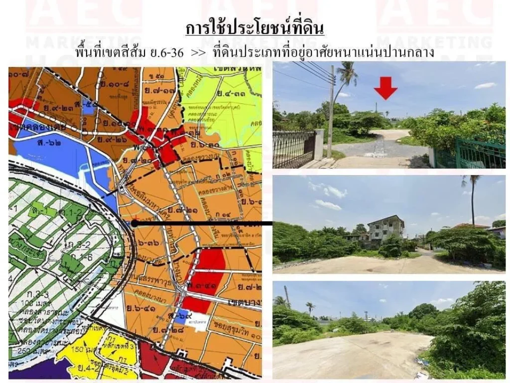 ขายที่ดินเปล่าซอยสุขุมวิท 62 แยก 5-9