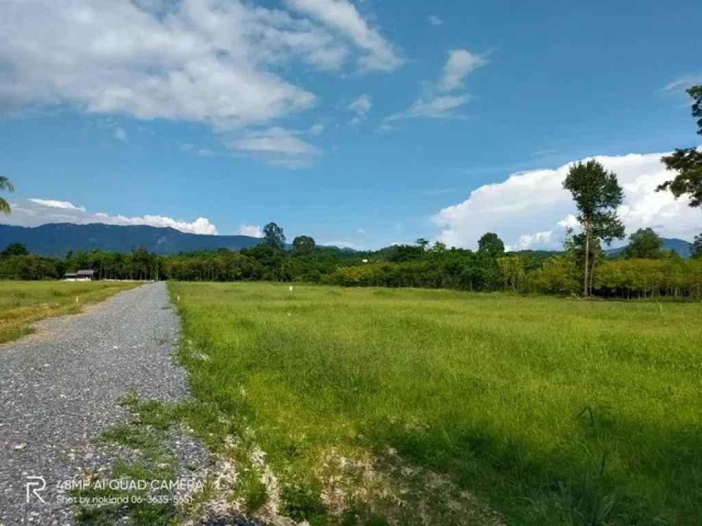 แบ่งขายที่วิวเขา รูปที่สวย ที่ไม่ต้องถม มีเพื่อนบ้านไฟฟ้า ประปา ตชะอม อแก่งคอย สระบุรี