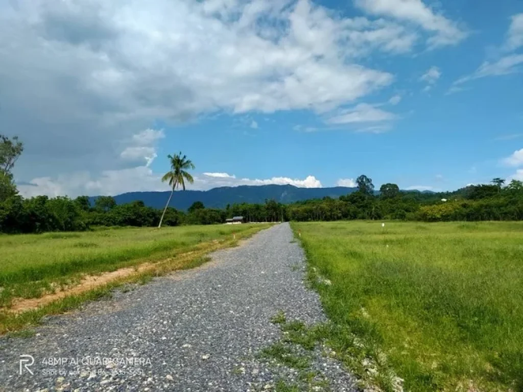 แบ่งขายที่วิวเขา รูปที่สวย ที่ไม่ต้องถม มีเพื่อนบ้านไฟฟ้า ประปา ตชะอม อแก่งคอย สระบุรี