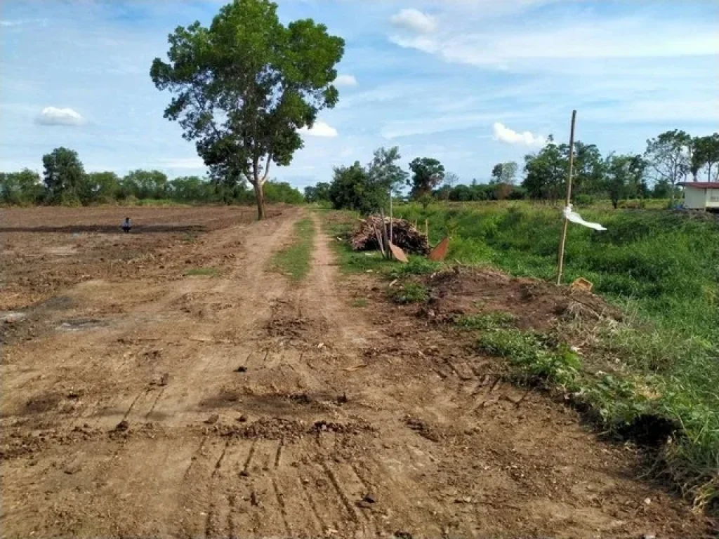 ขายที่ดิน คลอง 12 หนองสามวัง หนองเสือ ปทุมธานี ทำเลดี เข้าออกสะดวก ติดถนน