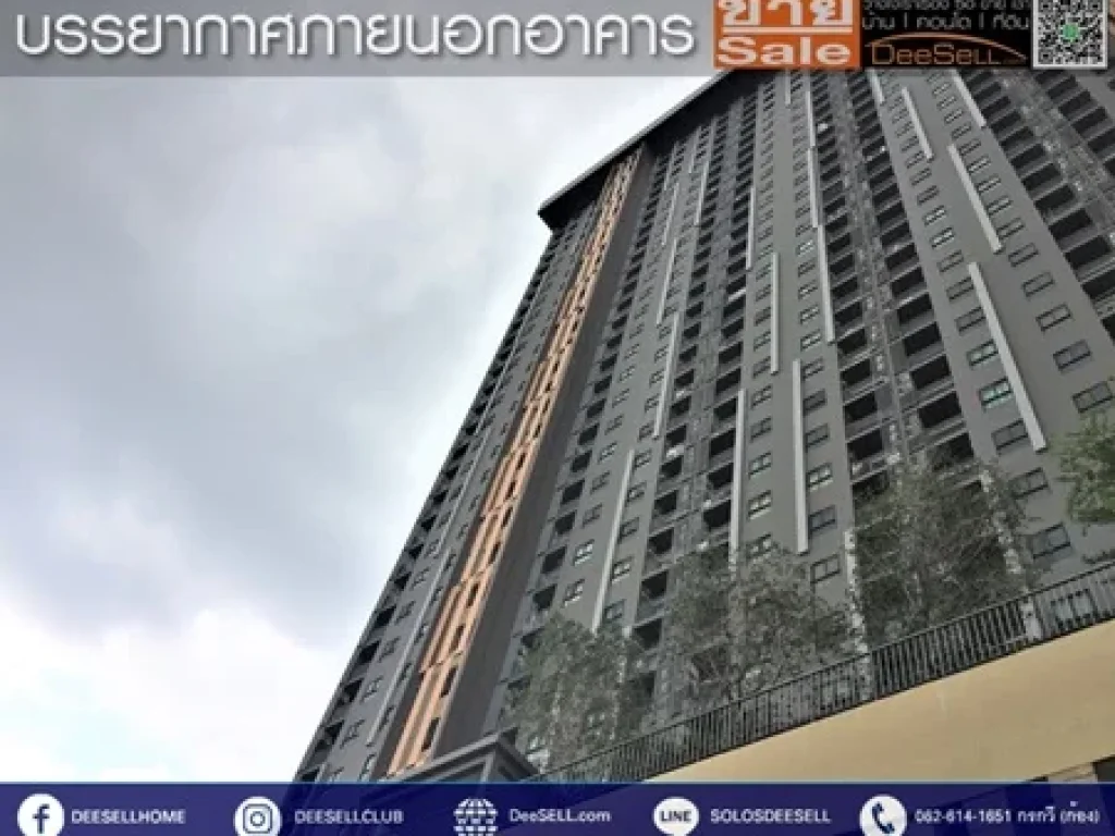 ขายด่วน 1 Bed 2414 ตรม ชั้น 23 เฟอร์ฯครบ มีสระว่ายน้ำ ห้องโยคะ พลัม Plum Condo Central Station