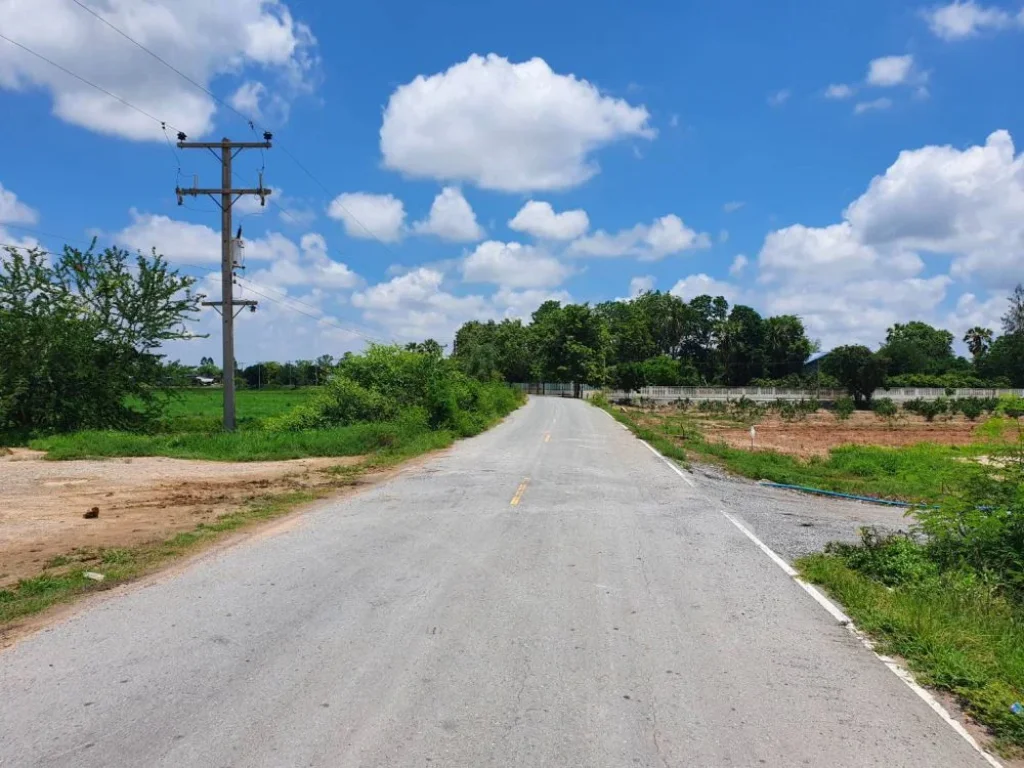 ที่ดินสุพรรณบุรี อยู่ชิดติดถนนลาดยาง ในราคาจับต้องได้