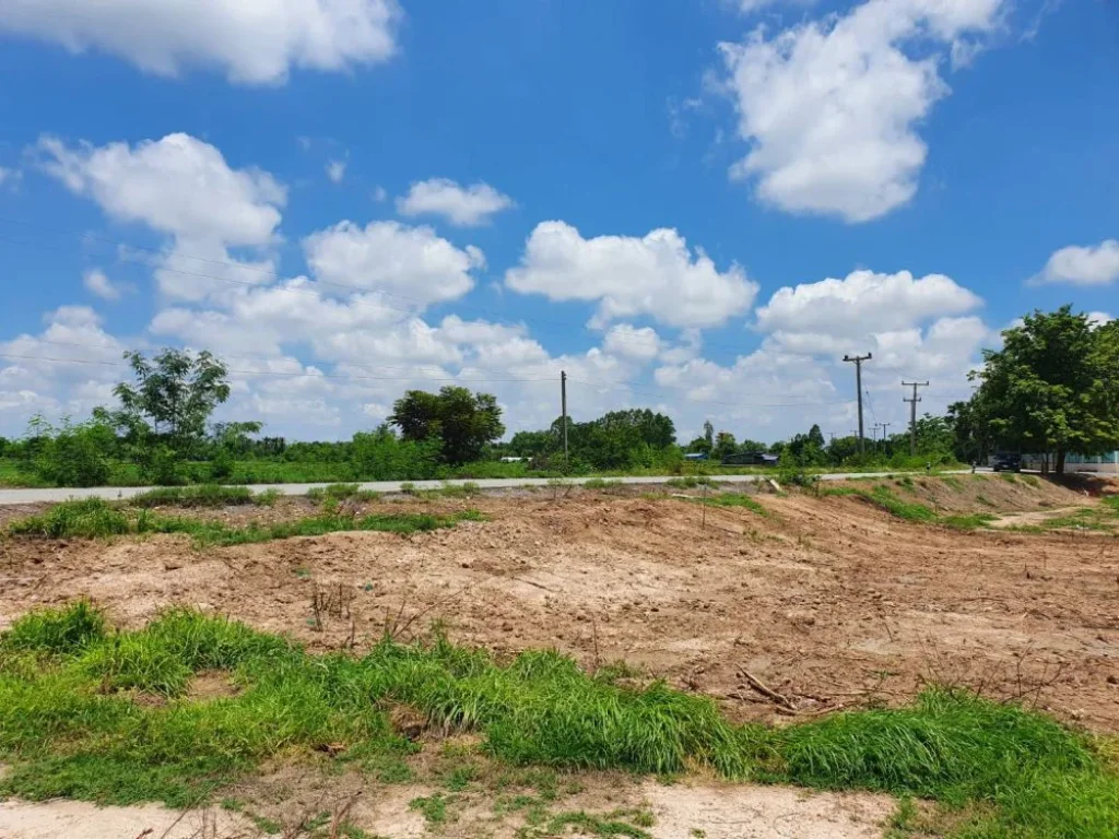 ที่ดินสุพรรณบุรี อยู่ชิดติดถนนลาดยาง ในราคาจับต้องได้