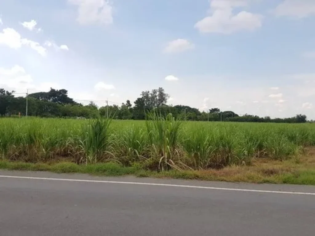 ขายที่ดิน ขนาด 44 ไร่ ติดถนนทางหลวงแผ่นดิน ที่ทุ่งคอก อสองพี่น้อง จสุพรรณบุรี