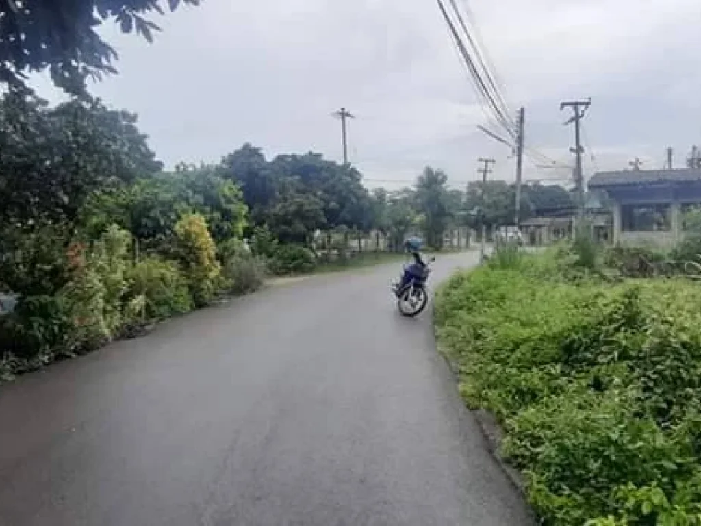 ขายที่ดินติดถนนบ้านกลาง แปลงหัวมุม สันป่าตอง ราคาถูก