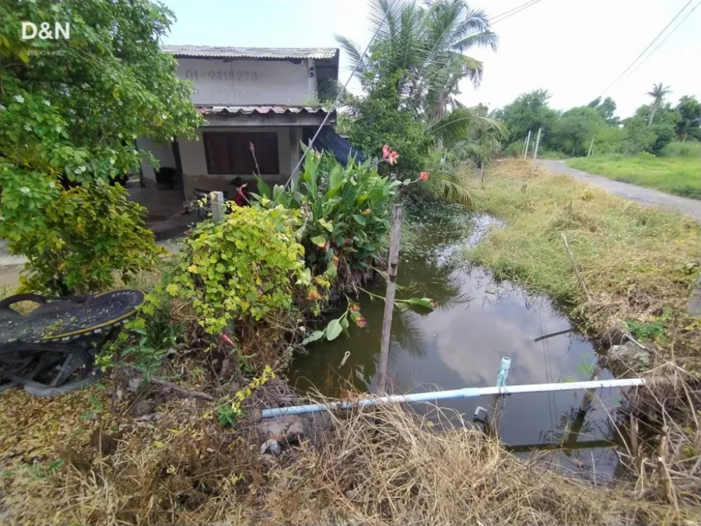 ขาย ที่ดิน 4 ไร่ พร้อมบ้าน ติดถนนลาดยาง กาหลง สมุทรสาคร ใกล้ถนนพระราม2