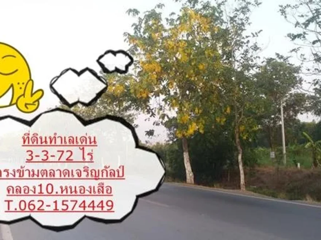 ที่ดินทำเลเด่น ฝั่งถนน 4002 ตรงข้ามตลาดเจริญกัลป์ คลอง10 หนองเสือ ปทุมธานี