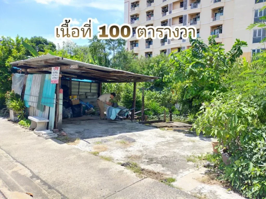 ขายที่ดิน 100 ตรว ซเพชรเกษม 922 เหมาะสร้างบ้าน