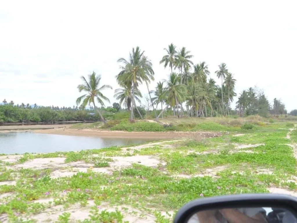 Land for long rent in Nakhon Si Thammmarat province