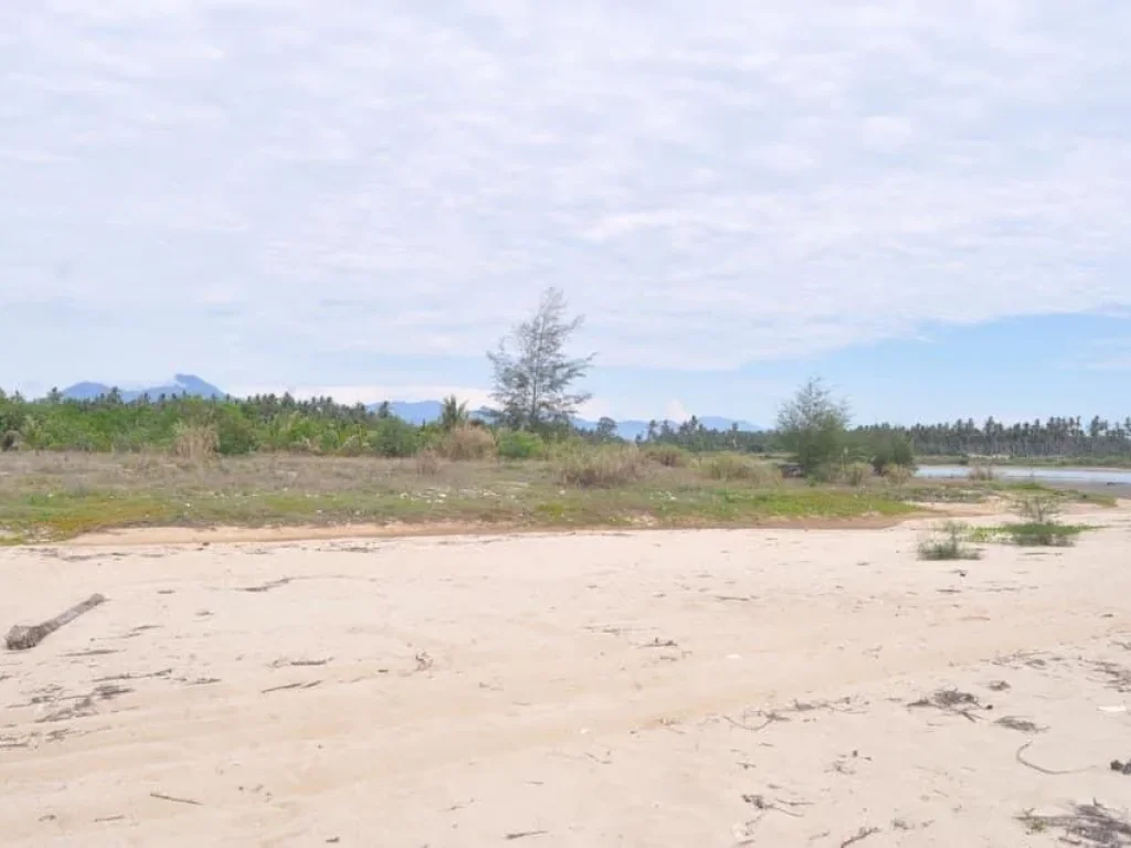 Land for long rent in Nakhon Si Thammmarat province