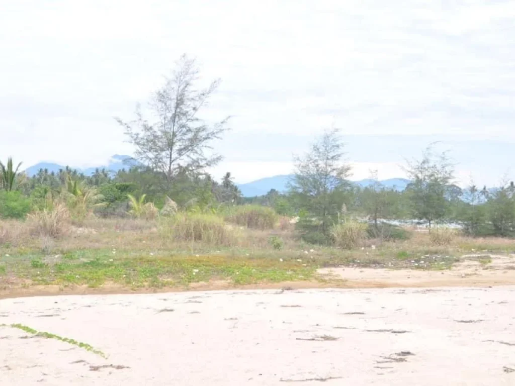 Land for long rent in Nakhon Si Thammmarat province