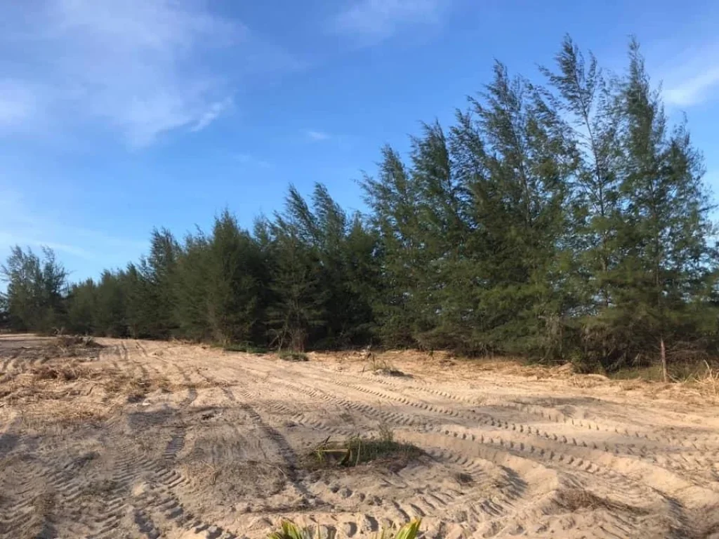 Land for long rent in Nakhon Si Thammmarat province