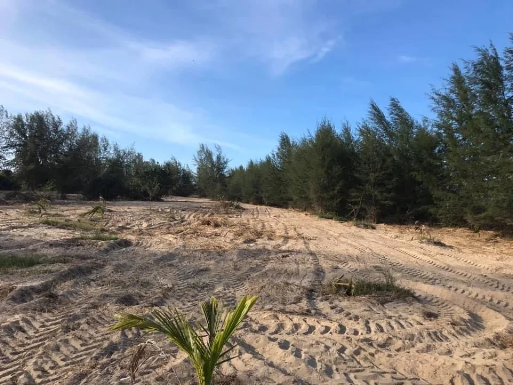 Land for long rent in Nakhon Si Thammmarat province