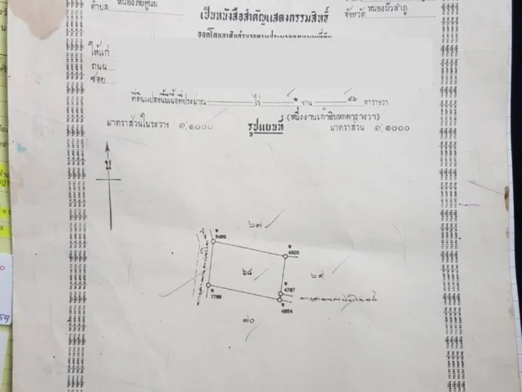 ขาย ที่ดินพร้อมปลูกบ้าน ในเขตชุมชน C76 196 ตรวา ตหนองภัยศูนย์ เมือง หนองบัวลำภู