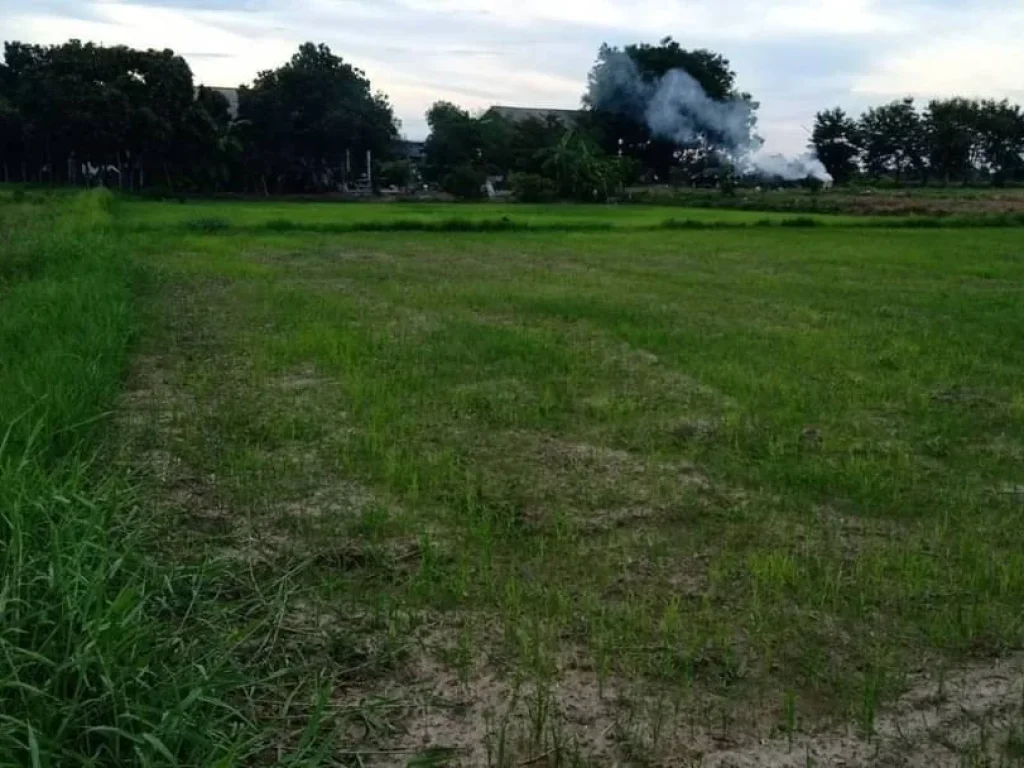 ขายที่ดินติดถนน เห็นพระธาตุ ทำเลค้าขายได้ ดอยสะเก็ต ป่าลาน