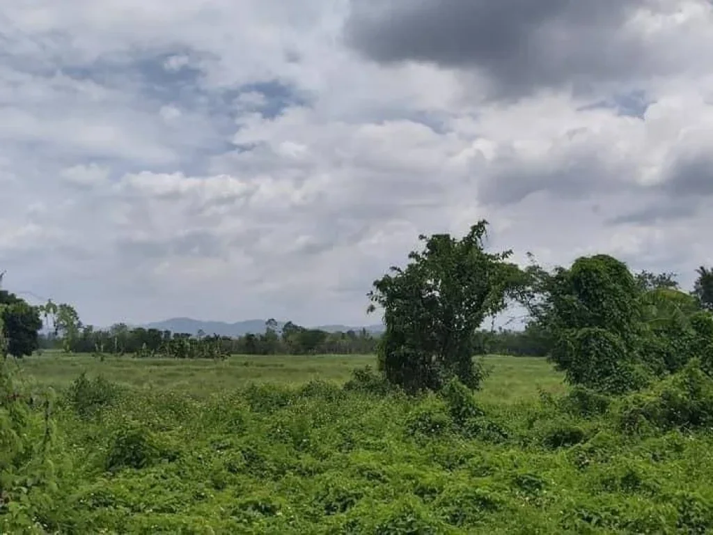 ขายที่ดินติดถนน เห็นพระธาตุ ทำเลค้าขายได้ ดอยสะเก็ต ป่าลาน