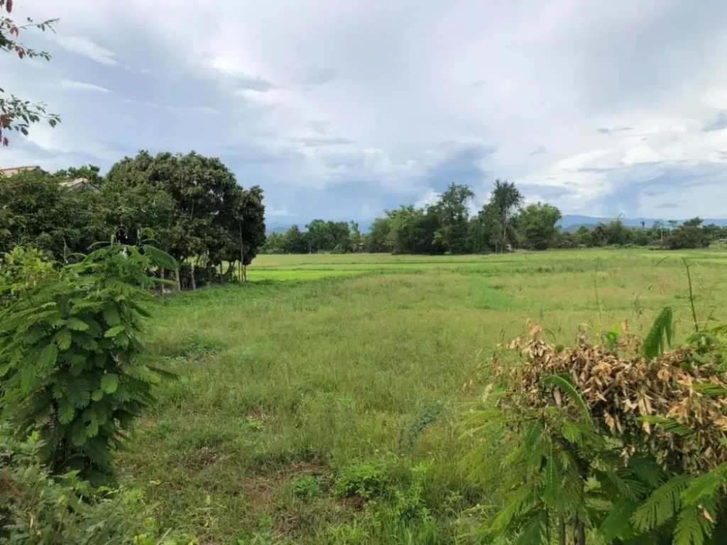 ขายที่ดินติดถนน เห็นพระธาตุ ทำเลค้าขายได้ ดอยสะเก็ต ป่าลาน