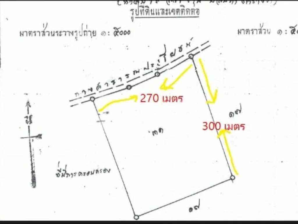 ประกาศขาย - ขายที่ดินสวยๆ เสิงสาง นครราชสีมา ราคาสุดถูก มี 50 ไร่ แบ่งได้ 