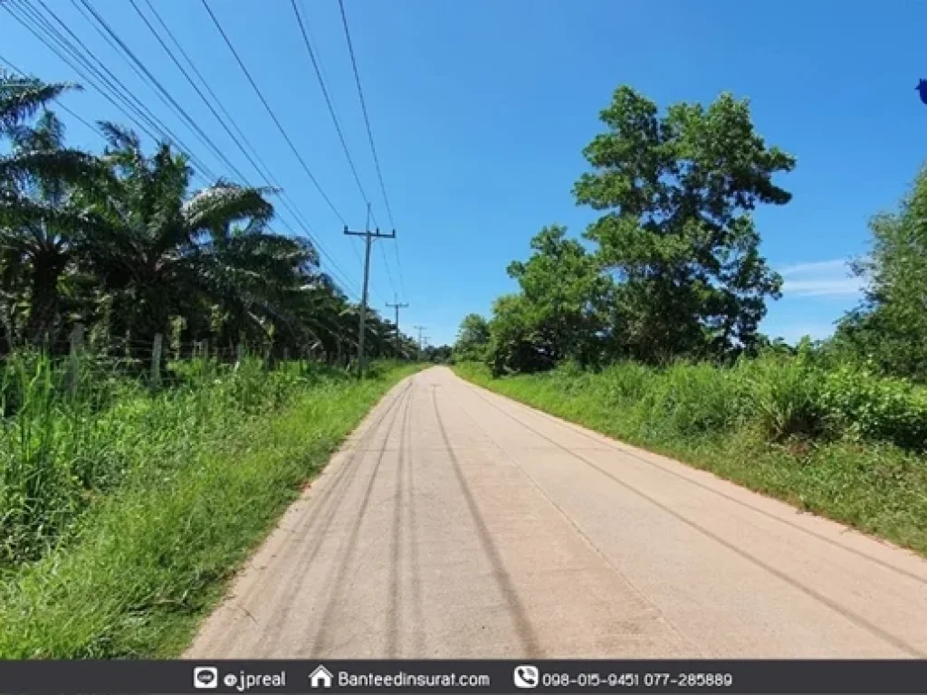 ขาย ที่ดินถมแล้ว 6 ไร่เศษ เหมาะสร้างบ้าน ทำเกษตร ติดถนน ตกะแดะ อกาญจนดิษฐ์ สุราษฎร์ธานี