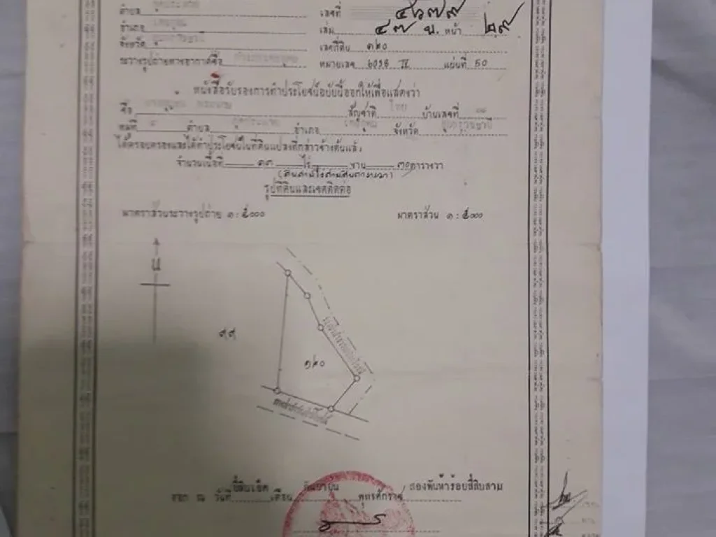 ที่นา 13ไร่ บริการยื่นกู้ น้ำไม่ท่วม ไฟฟ้าผ่าน ติดทางดำ แถมบ้าน 2 หลัง