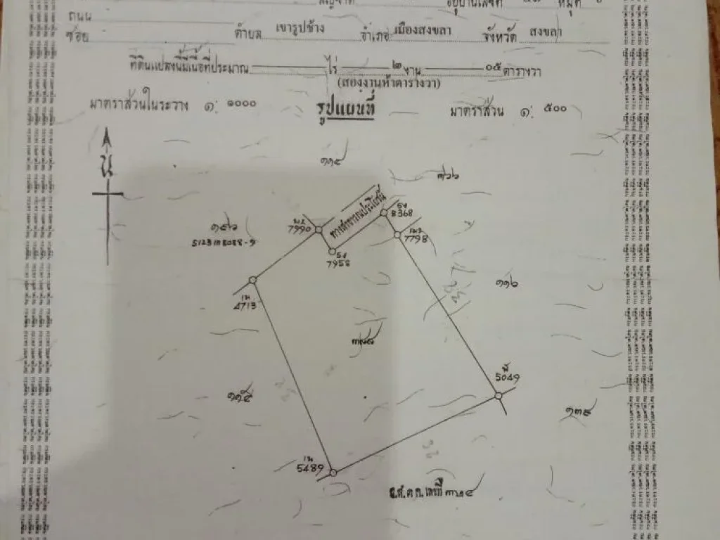 ขายที่ดิน 05ไร่ ตเขารูปช้าง อเมืองสงขลา