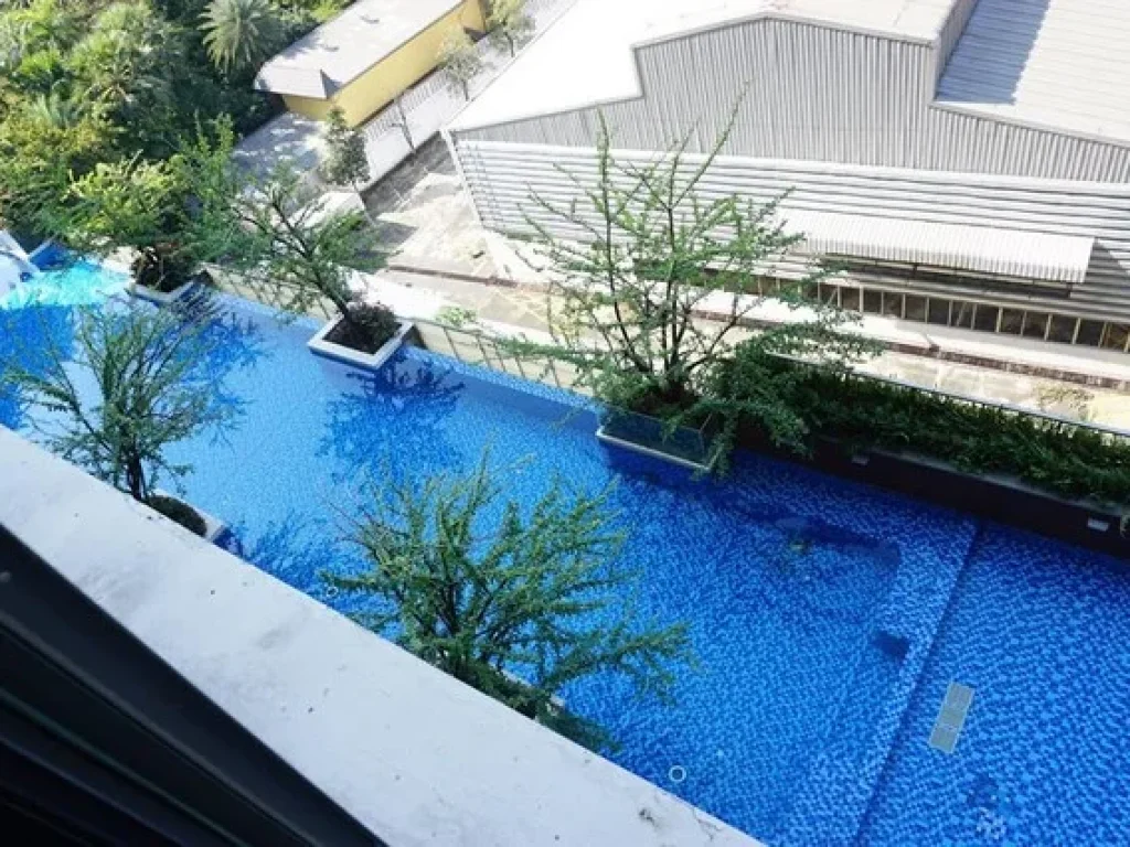 ให้เช่า Ideo Blucove Sukhumvit ติดรถไฟฟ้า BTS สถานีอ่อนนุช ชั้น 8 Studio วิวสระ Line id primeprop