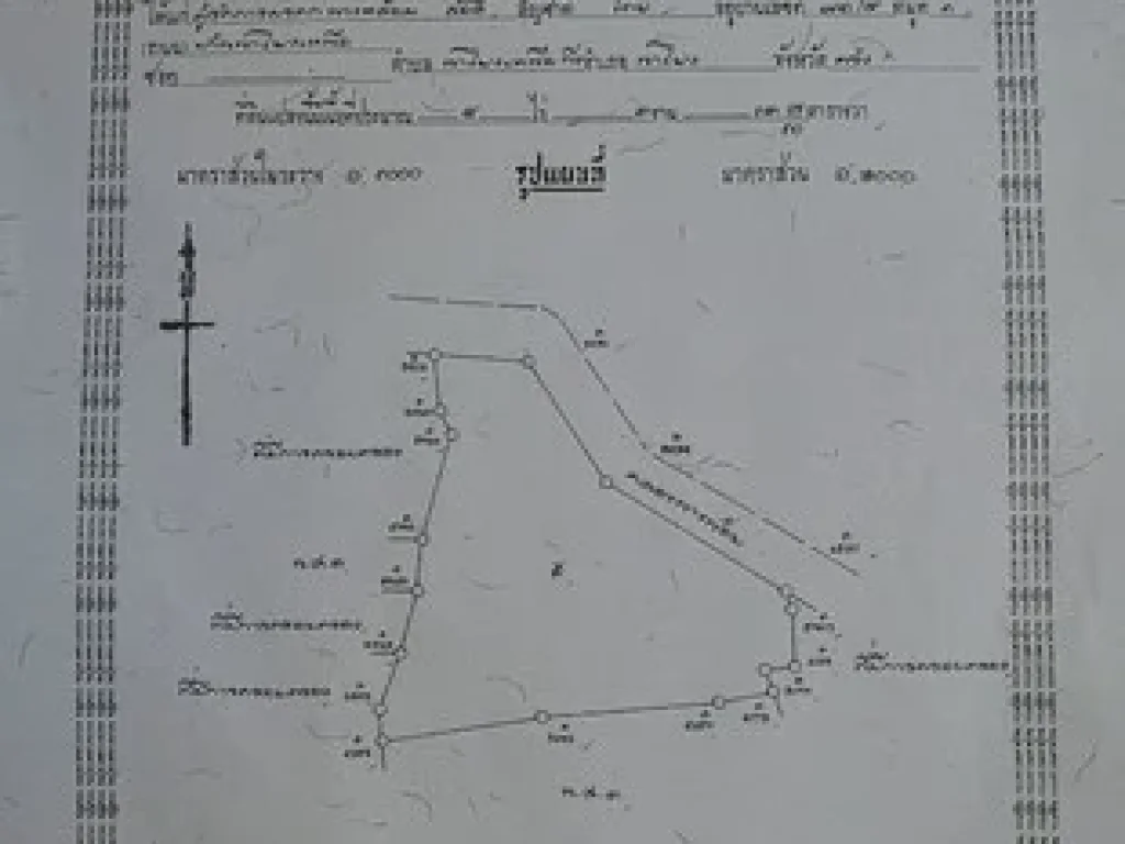 ขายที่ดิน สวนยางพารา 8-3-139 ไร่ ตนาโยงใต้ อเมืองตรัง จตรัง อายุประมาณ 14 ปี ติดคลองนางน้อย