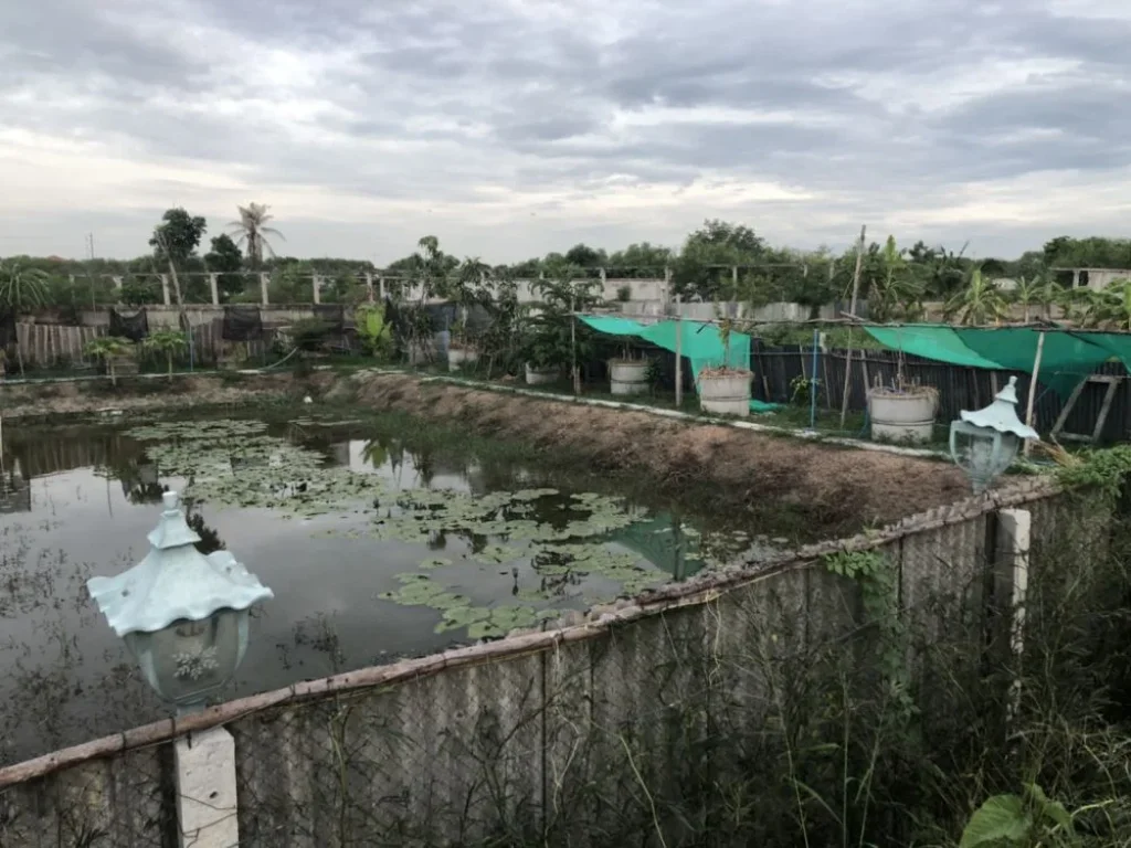 ขายหรือให้เช่า ที่ดินพร้อมบ้านและสวนทุเรียน ที่ดินธรณีสงฆ์พร้อมโอน นนทบุรี