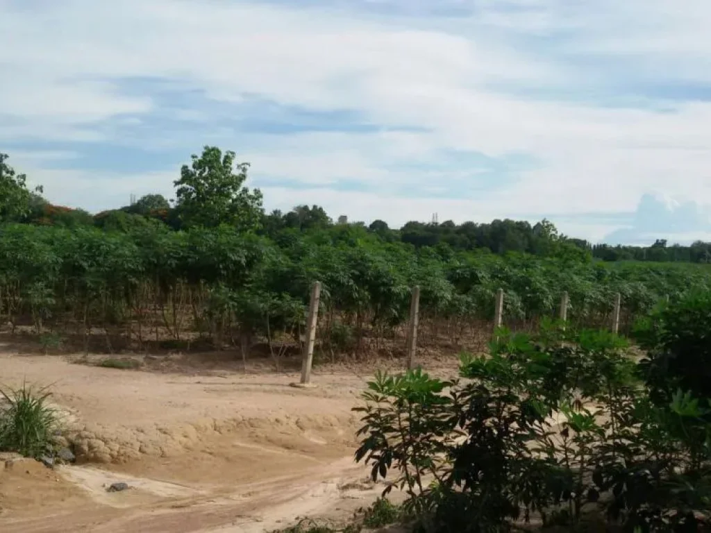 ที่ดินเปล่าสีม่วงเข้มสำหรับสร้างโรงงานอุตสาหกรรม