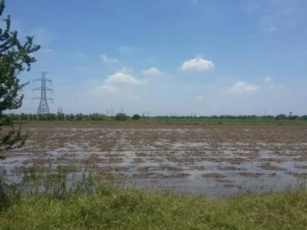 ที่ดิน ระหว่างมีนบุรีหนองจอก เนื้อที่ 8ไร่ หนองจอก กรุงเทพฯ