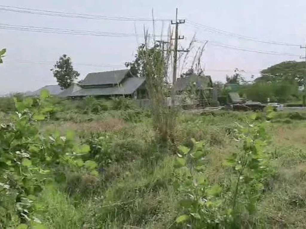 ขายที่ดินติดถนนสันกำแพง สายใหม่ ราคาถูก