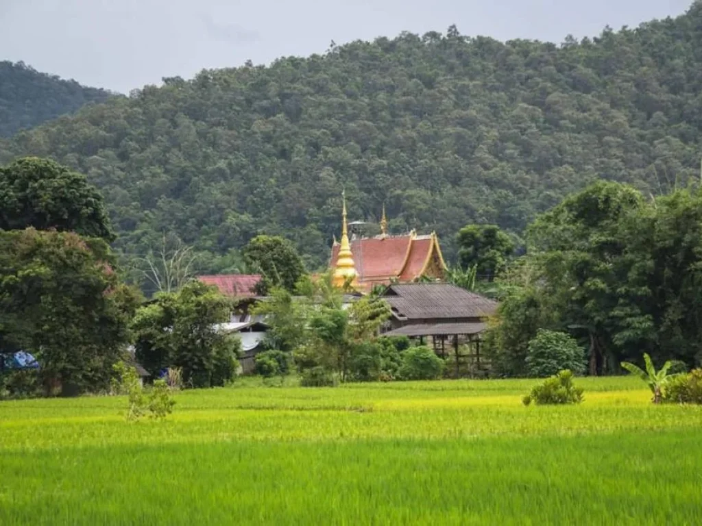 ขายที่ดินเมืองงาย วิวดอยหลวง ดอยนาง ราคาถูก