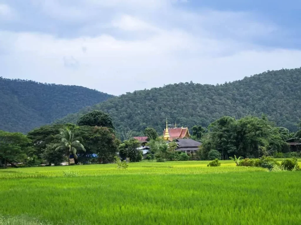 ขายที่ดินเมืองงาย วิวดอยหลวง ดอยนาง ราคาถูก