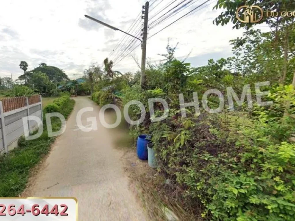 ที่ดินเขาย้อย 69 ตรว เพชรบุรี ใกล้พิพิธภัณฑ์ปานถนอม