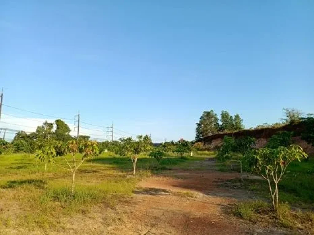 ขายที่ดินสวย ติดถนนสุขุมวิท วังกระแจะ เมืองตราด