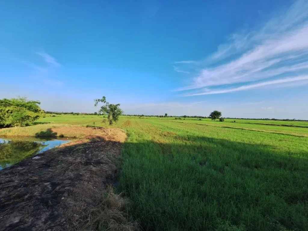 ขายที่ดิน14ไร่ ติดถนนสาย324 กาญจนบุรี-สุพรรณ ตพนมทวน