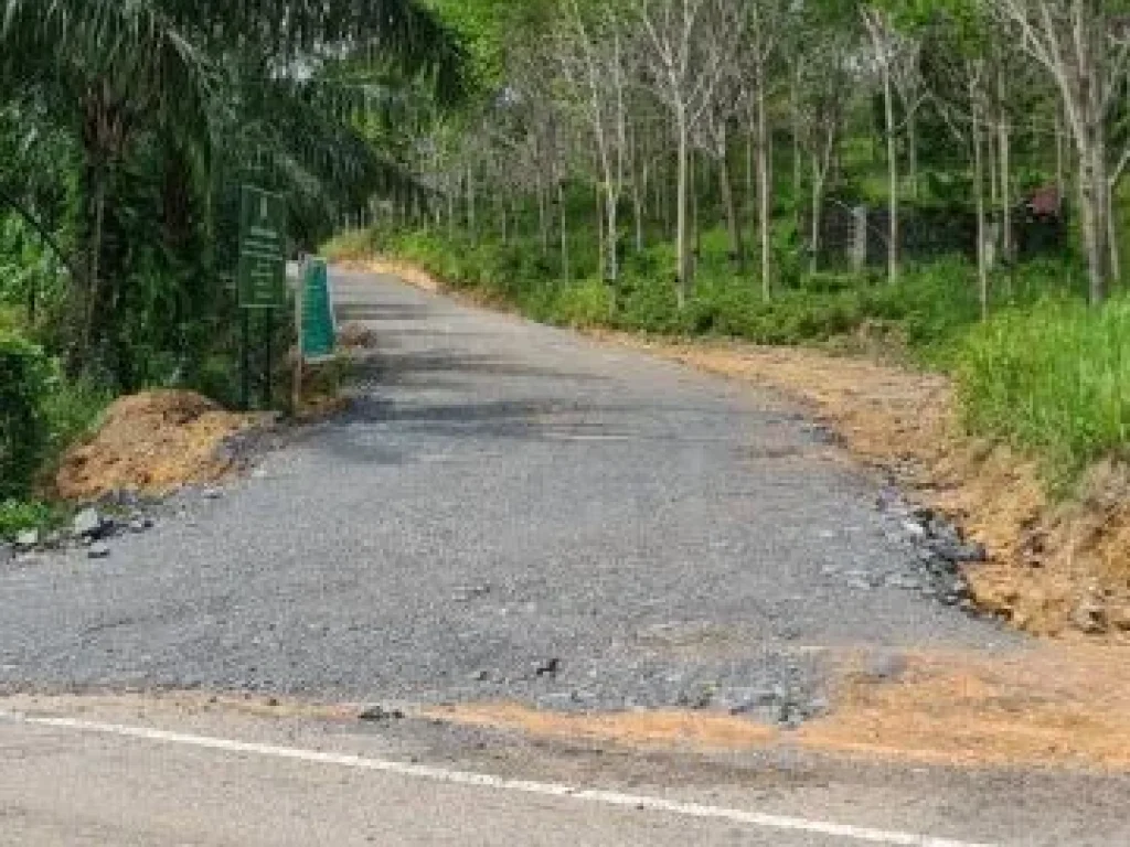 ขายที่ดิน สามารถแบ่งขายได้ ขายที่ดินใกล้เสม็ดนางชี จพังงา