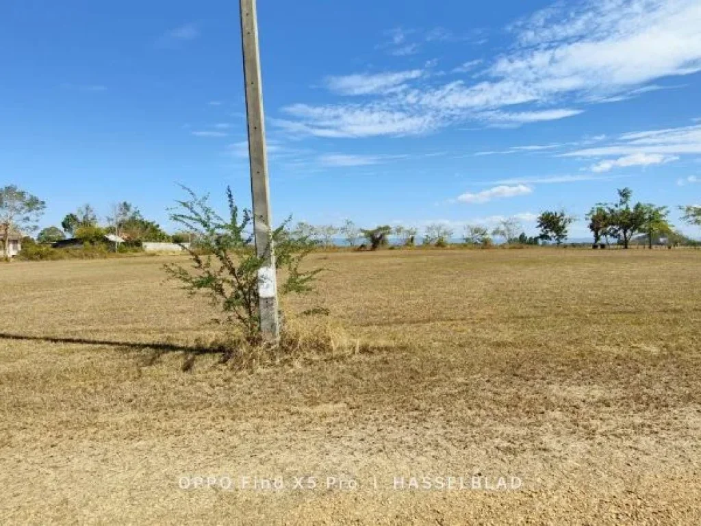 ขายที่ดินราคาถูกต่ำกว่าตลาด ที่ดินโฉนดพร้อมวิวภูเขาสวยงาม