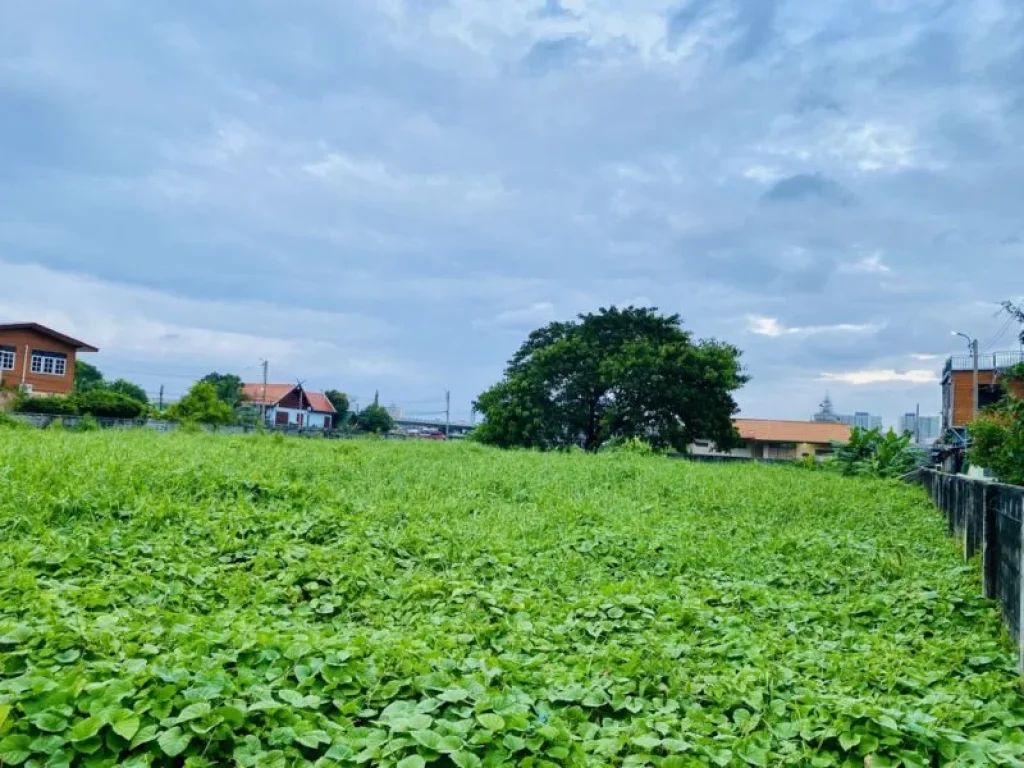 ขาย ที่ดิน ติดแม่น้ำเจ้าพระยา นครอินทร์ เนื้อที่ 2 ไร่ 3 งาน