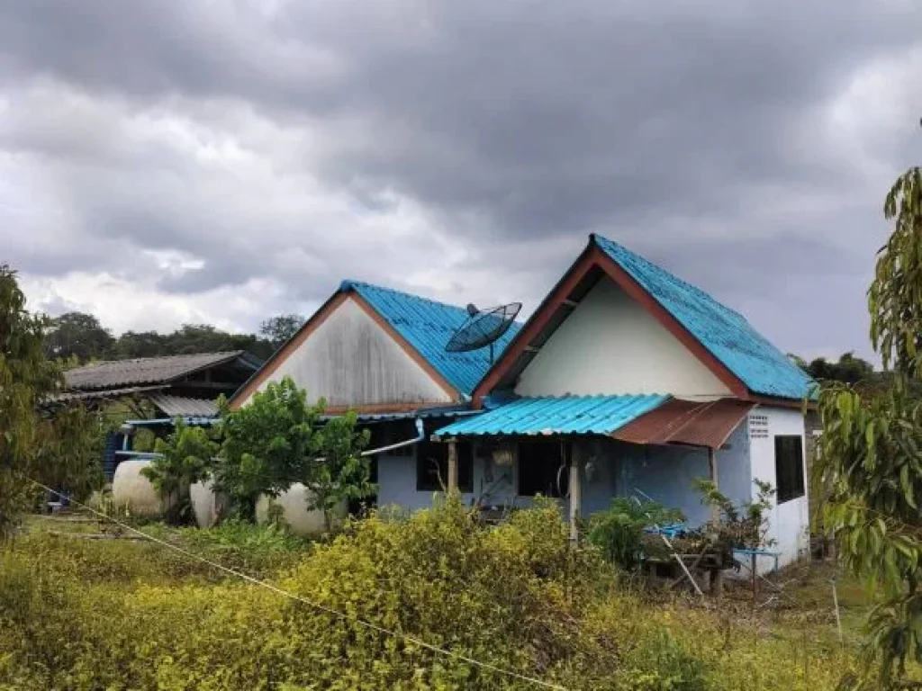 ขายที่ดินสวนทุเรียนติดลำธาร อำเภอโป่งน้ำร้อน จังหวัดจันทบุรี