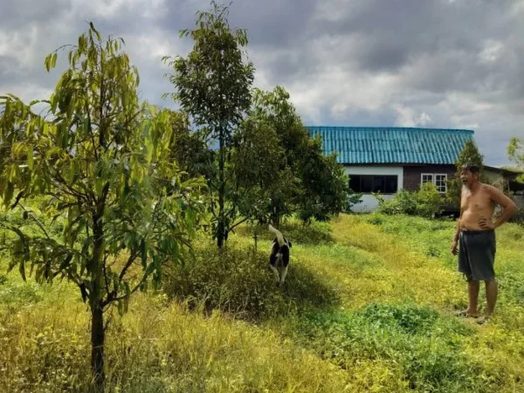 ขายที่ดินสวนทุเรียนติดลำธาร อำเภอโป่งน้ำร้อน จังหวัดจันทบุรี