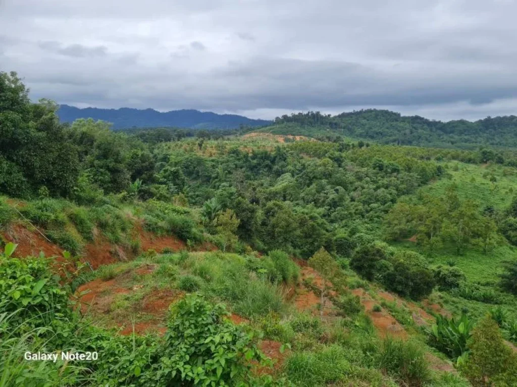 ขายที่ดินสวนทุเรียน อขลุง จจันทบุรี มีคลอง น้ำตก