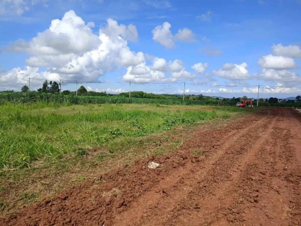 ขายที่ดินเขาใหญ่ 200 ตรว ในโครงการคริสตัลฮิลล์2 วิวเขา