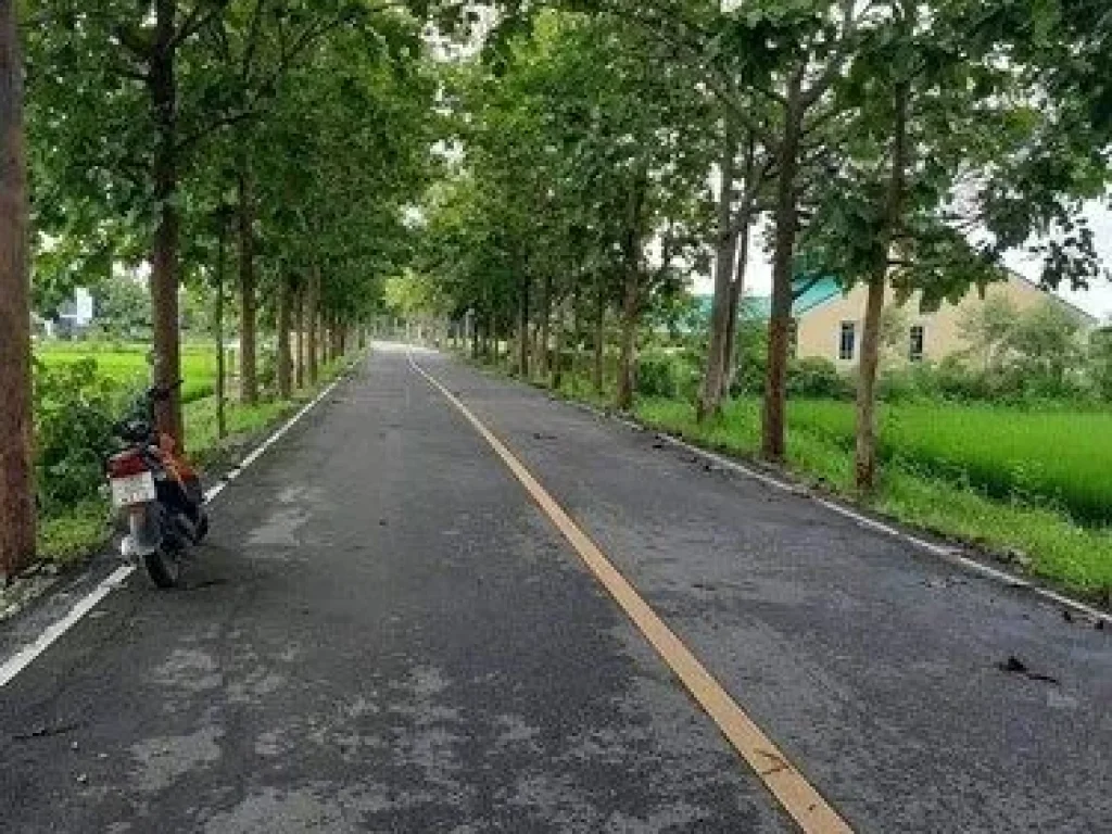 ที่ดินไร่ละไม่เกิน2ล้าน อดอยสะเก็ดเชียงใหม่ ติดทางหลวงชนบท