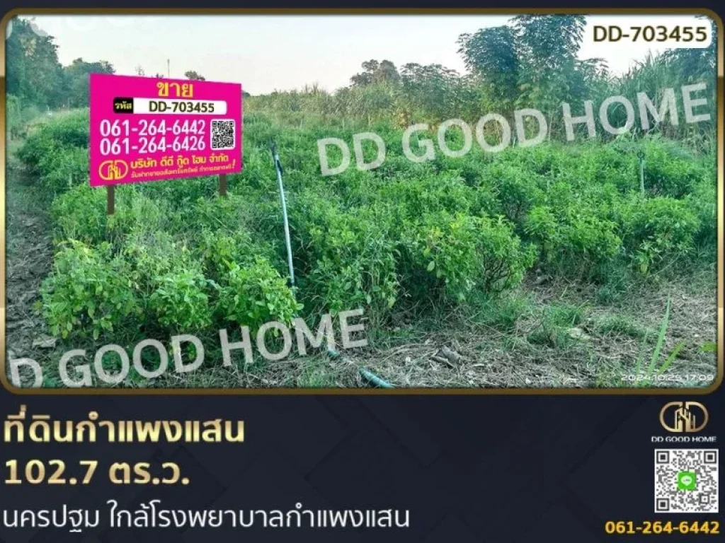 ที่ดินกำแพงแสน 1027 ตรว นครปฐม ใกล้โรงพยาบาลกำแพงแสน