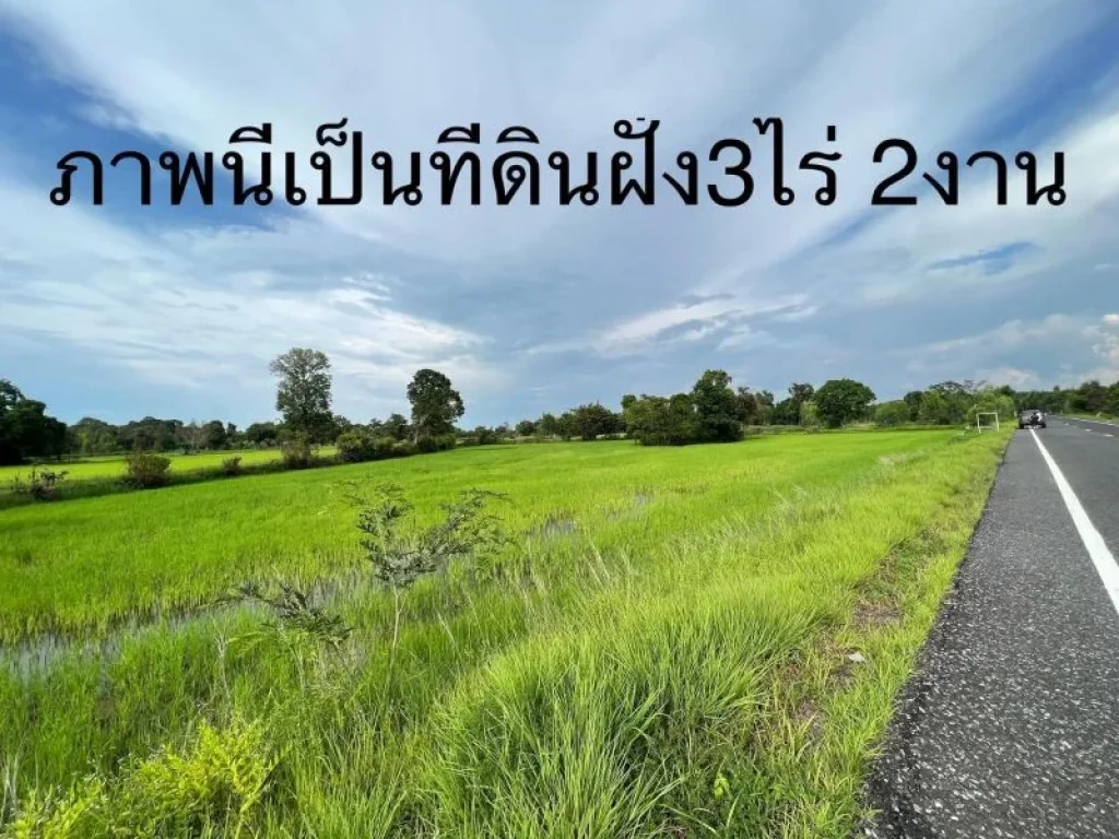 ขายที่ดินติดถนนดำพิกัด บ้านผือบ้านแสงไผ่ อ ม่วงสามสิบ จอุบล