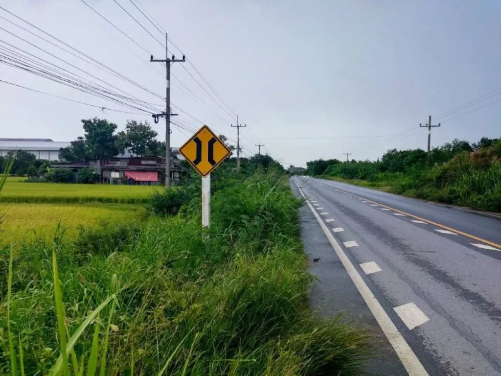 ที่ดินติดถนนลาดบัวหลวง-ไม้ตราขายยกแปลง 10 ไร่ 96 ตรว